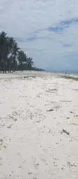 Furnished 5-Bedroom Beachfront Villa in Diani for Sale - 3