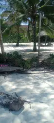 Furnished 5-Bedroom Beachfront Villa in Diani for Sale - 5
