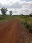 Thika Greens Phase 3 - 1/4 Acre Residential Plots - 3