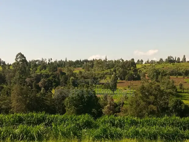 Nanyuki Kalalu 6.75 Acres with 3-Bedroom Bungalow & River Frontage - 1