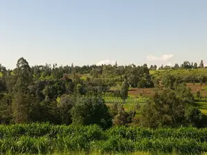 Nanyuki Kalalu 6.75 Acres with 3-Bedroom Bungalow & River Frontage
