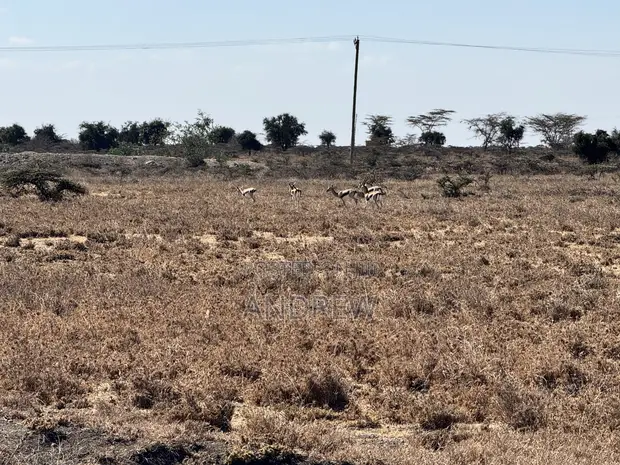 2 Acres Land for Sale in Ilpolosat, Near Konza City - 1
