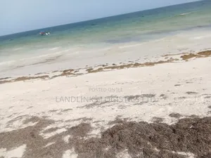 Diani Beach Eka 3 Mbele kwa Hoteli/Villa