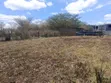 Prime Land for Sale - Matasia, Ngong - 1