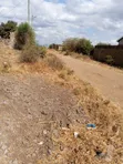 Kiganjo Thika Plots for Sale - 1