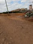 Kitalu cha Kiganjo Muthaiga Kinachogusa Barabara Kuu - 2