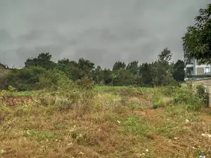 Kitalu Bora cha Biashara kwa Uuzaji Giakanja