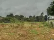 Kitalu Bora cha Biashara kwa Uuzaji Giakanja - 1