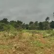 Kitalu Bora cha Biashara kwa Uuzaji Giakanja - 2