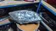 Toyota Auris 2010 Headlight Isiyo Xenon - 2