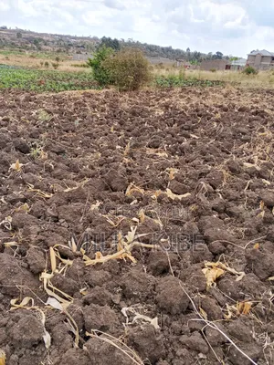 Kiganjo Kimuchu Mali Plot for Sale