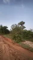 22 Acres in Mivumoni, Off Tarmac - 3