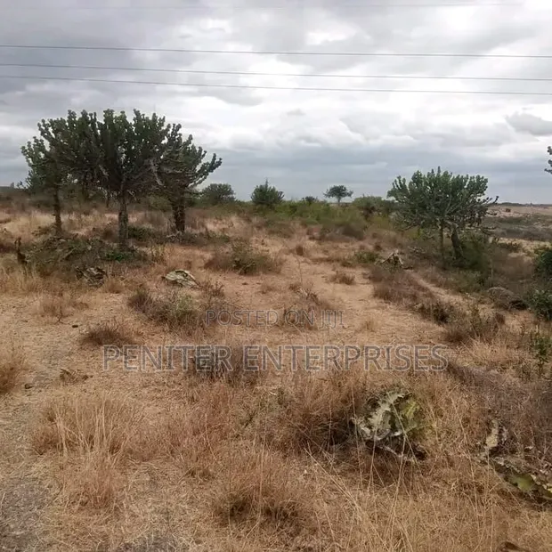 150 Acres Land with Quarry in Katani Syokimau - 1