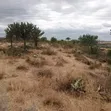 150 Acres Land with Quarry in Katani Syokimau - 1
