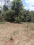 Kiambu Town 1/2 Acre Flat Land for Sale - 2