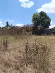 Kiambu Town 1/2 Acre Flat Land for Sale - 3