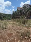 Kiambu Town 1/2 Acre Flat Land for Sale - 5