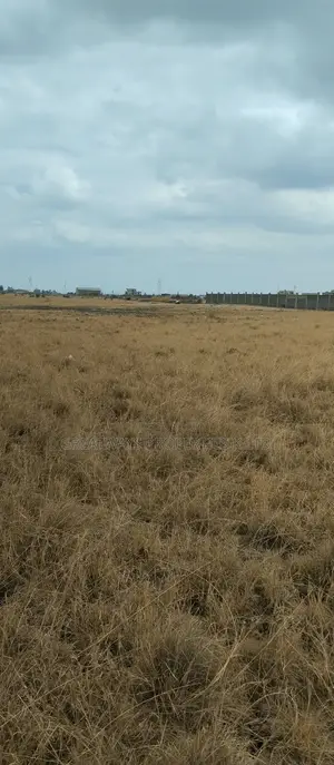 Vipande vya 50x100 vinauzwa Juja South