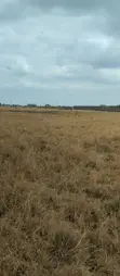Vipande vya 50x100 vinauzwa Juja South - 1