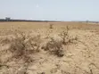 Vipande vya 50x100 vinauzwa Juja South - 2