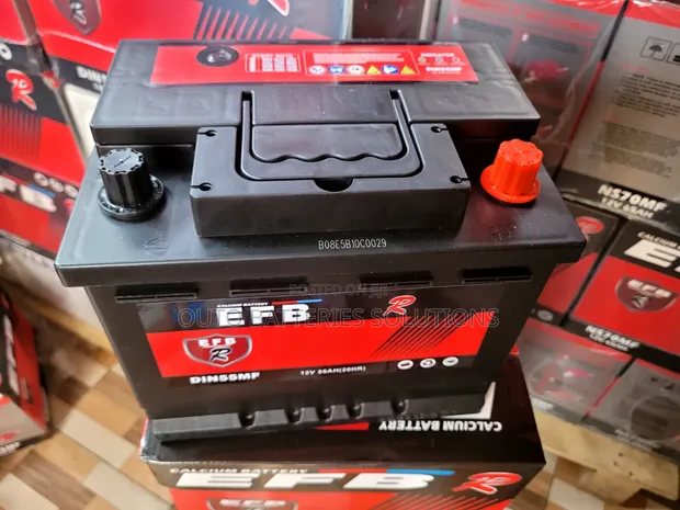 EFB DIN 55 Maintenance-Free Automotive Battery - 1