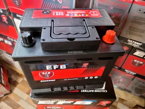 EFB DIN 55 Maintenance-Free Automotive Battery