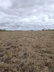 Kitalu cha Makazi kwa Uuzaji Kisaju, Kitengela - 2