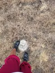 Kitalu cha Makazi kwa Uuzaji Kisaju, Kitengela - 3