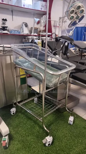 Stainless Steel Baby Bassinet with Wheels & Mattress