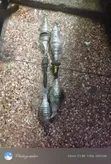 Toyota Vitz Drive Shaft (Used) - 1
