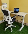 High Back Classic Chairs (Set of 2) - 2