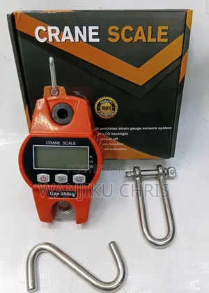 300kg Professional Crane Scale