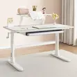 Manual Adjustable Study Desk - 120cm - 5