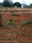 Eneo la Mua Hills 1 Eka Likiangalia Barabara ya Lami - 2