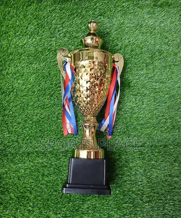 Gold Steel Award Trophy - 1