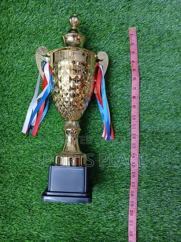 18" Metallic Golden Steel Trophy - 1