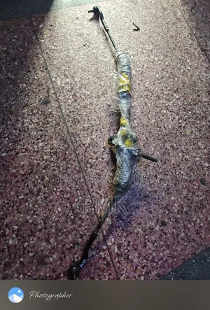 Toyota Rush Steering Rack