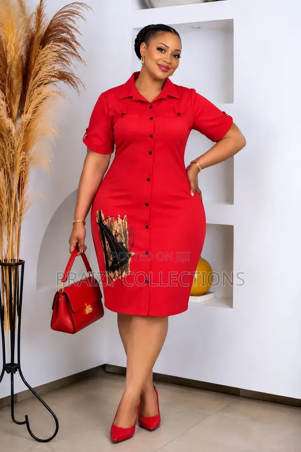 Beautiful Ladies Shirt Dress - 1