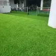 Draining Synthetic Turf Grass Carpet 25mm - 2