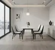 Dining Set ya Viti Vinne na Viti vya Ngozi Visivyo na Mikono - 1