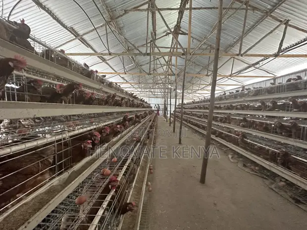 Henovate Battery Layers Cage - 1