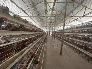 Henovate Battery Layers Cage