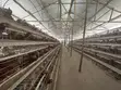 Henovate Battery Layers Cage - 1