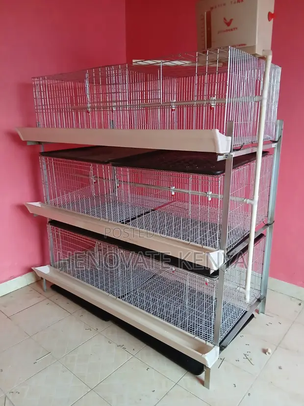 Kuku wa Broiler Battery Cage - Ndege 96 - 1