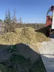 Silage ya Mahindi ya Mtoto Isiyo Fungashwa - 2