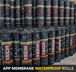 APP Modified Bitumen Membrane ya Kuzuia Maji 3mm