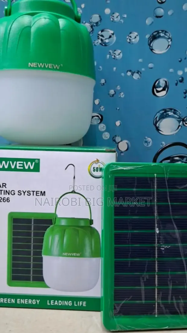 100W Solar Streetlight - 1