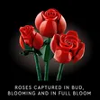 LEGO Icons Bouquet of Roses Building Set - 4