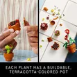 LEGO Icons Tiny Plants Building Set - 4