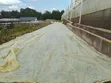Greenhouse Polythene Cover - 2
